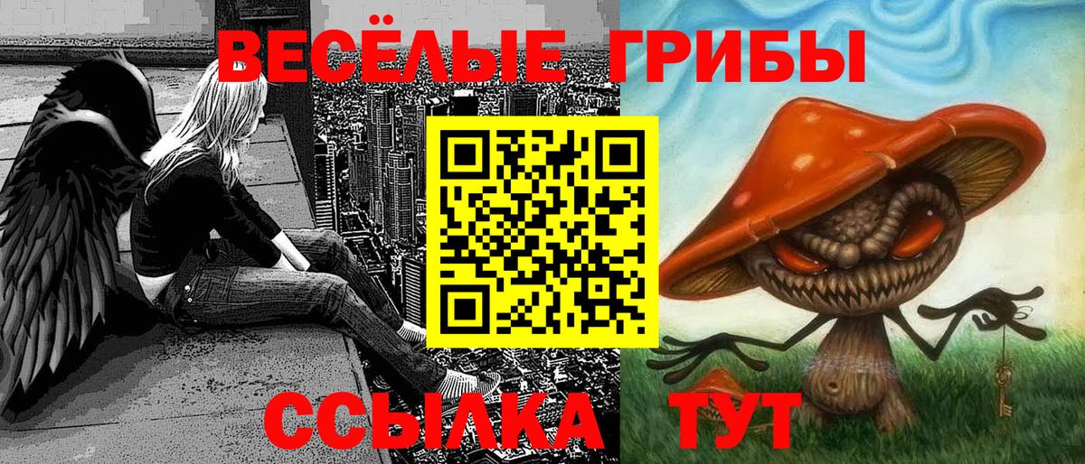 Псилоцибиновые грибы Magic Shrooms  Псилоцибиновые грибы ЛСД  Вход с VPN  Алушта 