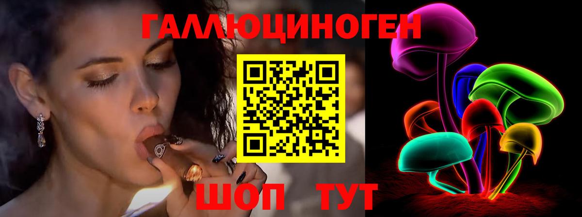 Псилоцибиновые грибы прущие грибы Алушта